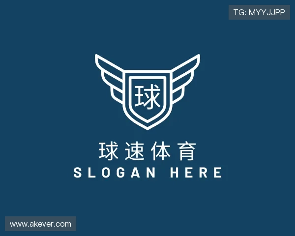 关于球速体育